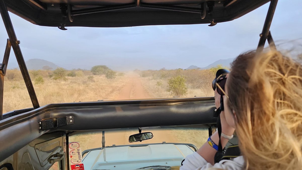 Elephants in Tsavo East National Park on a safari from Diani Beach